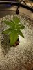 20200813_182513.jpg