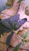 20200815_093132.jpg