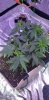20200815_180445.jpg