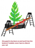 Scaffolding Plank and Ladders2.png