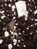 20200816_220327.jpg