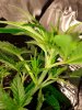 20200817_114803.jpg