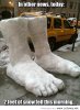 Two-feet-of-snow.jpg