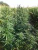 20200824_090622.jpg