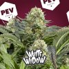 white-widow-pev-bank-seeds-1.jpg