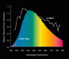 Sulfur_lamp_spectrum.gif