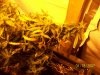 june 030.jpg