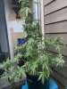 C3B4E128-C11C-4AB0-8514-4502BAD0106C.jpeg