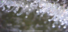 422873B5-3917-4AAB-BC4A-353839607BD1.png