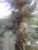 20200830_071620.jpg