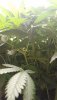 20200902_141112.jpg