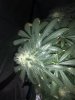 22182298-0A8F-4DA8-9D83-9AD7F9C68280.jpeg