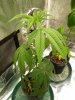 20200906_222415.jpg