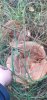 20200911_171525.jpg