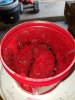 20200911_161913.jpg