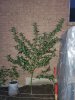 20200904_062130.jpg