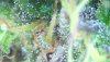 1E2F798C-1BA0-45B3-8623-EC81F1AFC6BE.jpeg