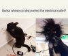 funny-memes-cat-electrical-outlet.-shocking.jpg