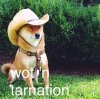 wot-n-tarnation.jpg