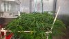 20201016_214334.jpg