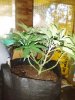 IMG_20201019_103742.jpg