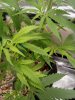 20201023_002936.jpg