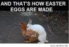 Wanna-know-how-Easter-eggs-are-made.jpg