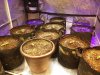 20201113_124754.jpg