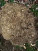 20201119_160359.jpg