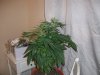 6-18-09 005.jpg