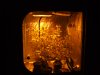 DSCF2061.JPG