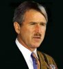 Bush Hitler lookalike-709862.jpg