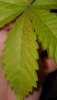 20201208_232910.jpg