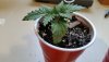 20201224_095558.jpg