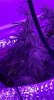 0FC55B0F-1315-4639-9BD9-BC651572428E.jpeg