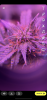 A16AA81E-8332-41BA-ABAC-5CE5FAAA7671.png