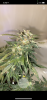 30BF2F98-A6AB-42DD-9395-CD9C584A6A8D.png