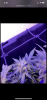 78B86340-AB04-4756-835C-29EC13F7E7E3.png