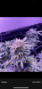 428718BD-D7BD-4456-AB83-16DAFDD6B6E7.png
