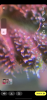 666E58B5-5CA9-4A17-BD8F-79FE013CA657.png