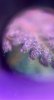 D290429E-29A8-4CE6-AF1C-DBFF44BE8BD1.jpeg