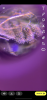 444266F1-032A-4964-9428-7BD2691748B5.png