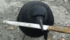 crow.png