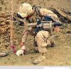 Batterfield-soldier-and-little-funny-dog.jpg