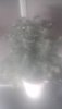 IMG_20160101_110327 - Copy.jpg