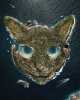 cat_island_-_fabien_barrau.png