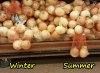 winter_vs_summer_3681.jpg