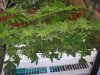 102_2704.jpg