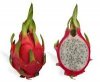 Image result for dragon fruit