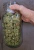 Durban Poison 64oz Mason Jar 02.jpg